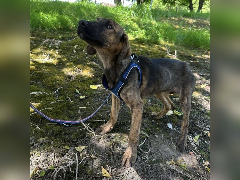 Nena ein kleiner Engel