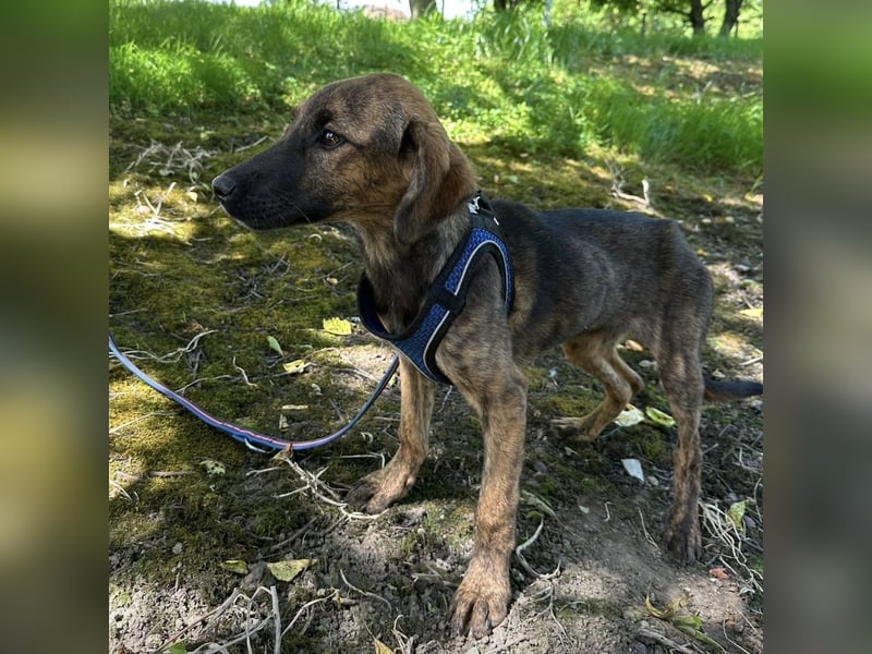 Nena ein kleiner Engel