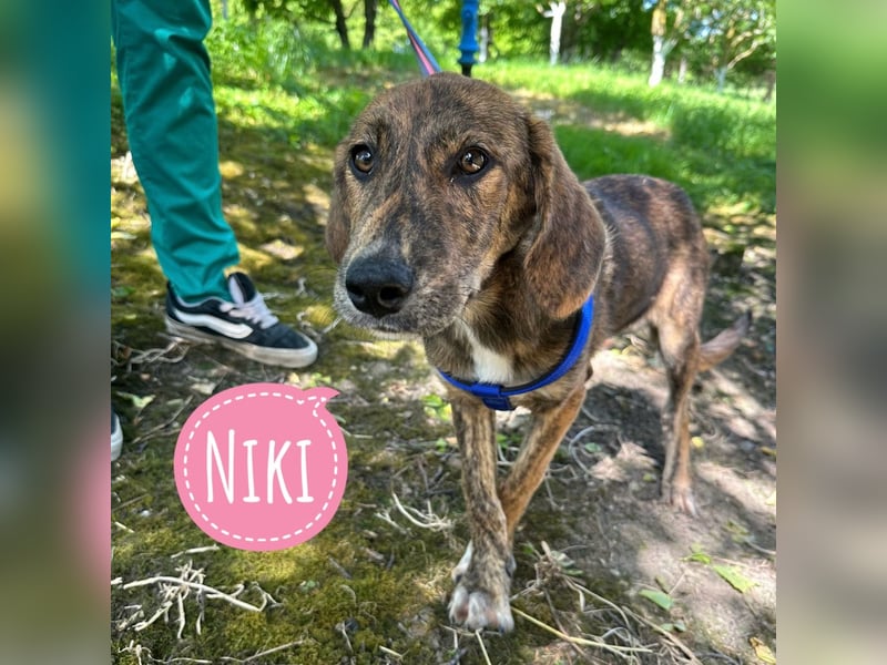 Niki eine Zaubermaus