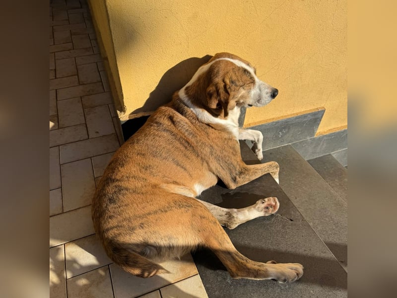 Lea - liebenswürdiges Mädchen sucht sicheren Hafen