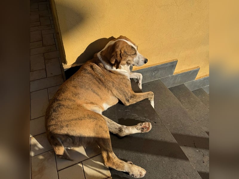 Lea - liebenswürdiges Mädchen sucht sicheren Hafen
