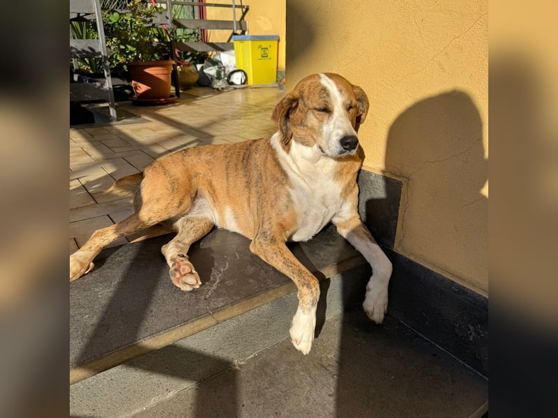 Lea - liebenswürdiges Mädchen sucht sicheren Hafen