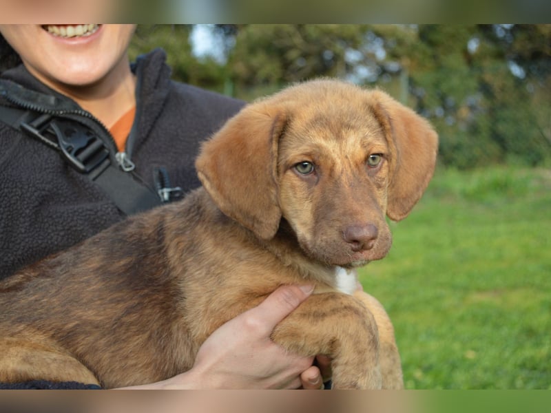 ELISA - so eine süße Zuckerschnute