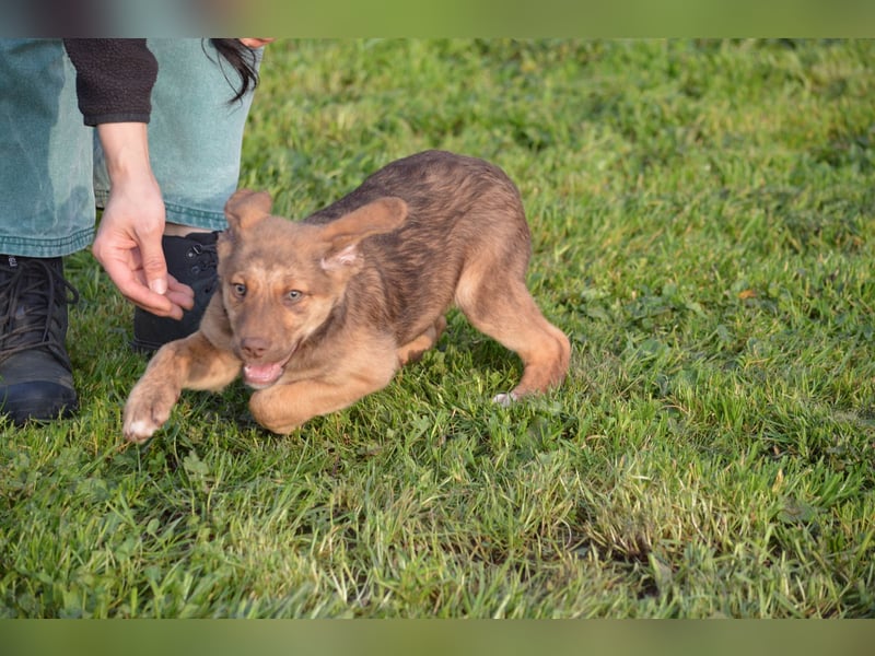 ELISA - so eine süße Zuckerschnute