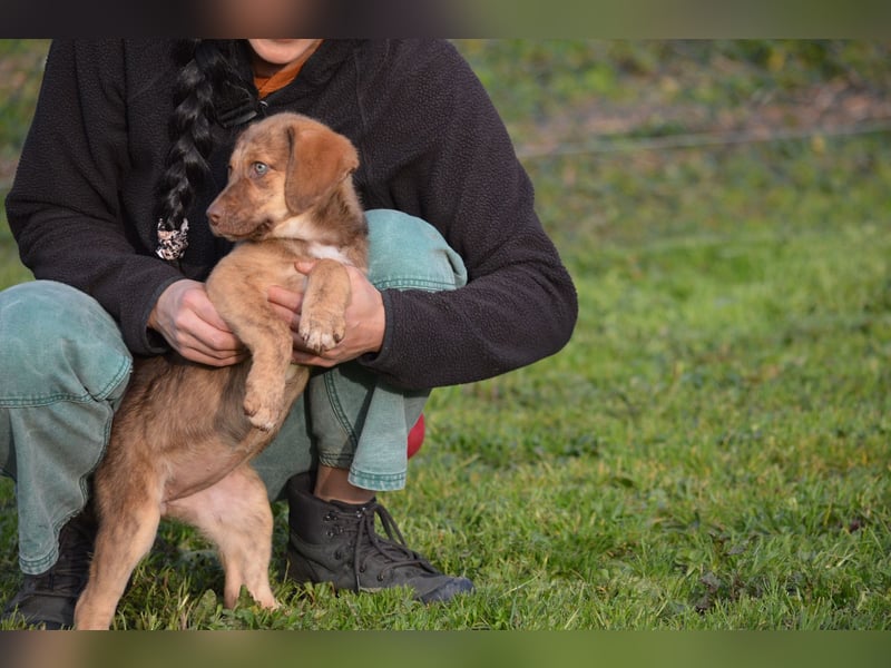 ELISA - so eine süße Zuckerschnute