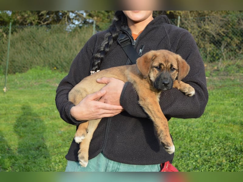 EMMA - so eine süße Zuckerschnute