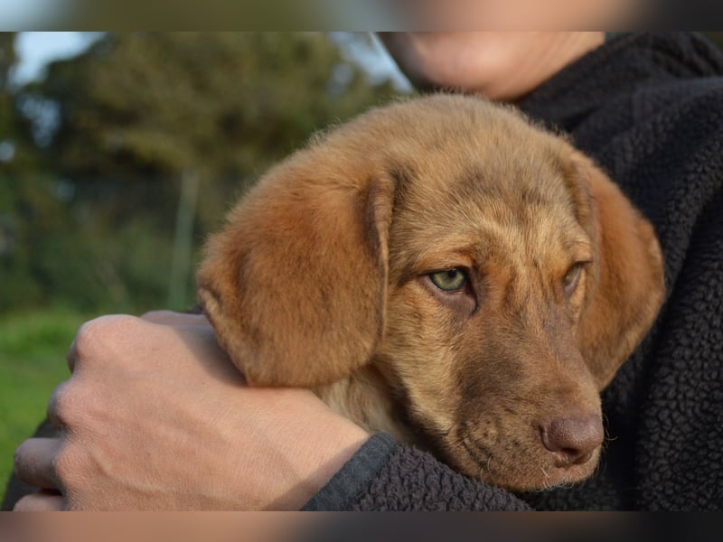 ELISA - so eine süße Zuckerschnute