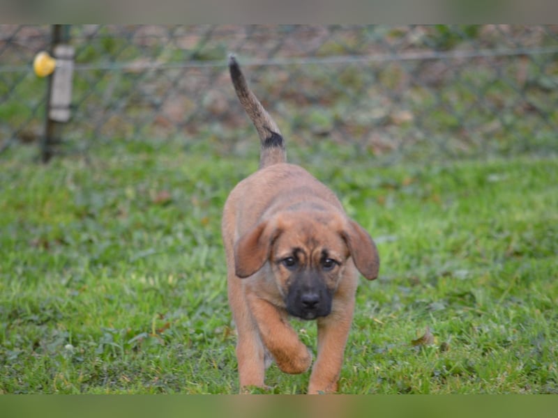 EMMA - so eine süße Zuckerschnute