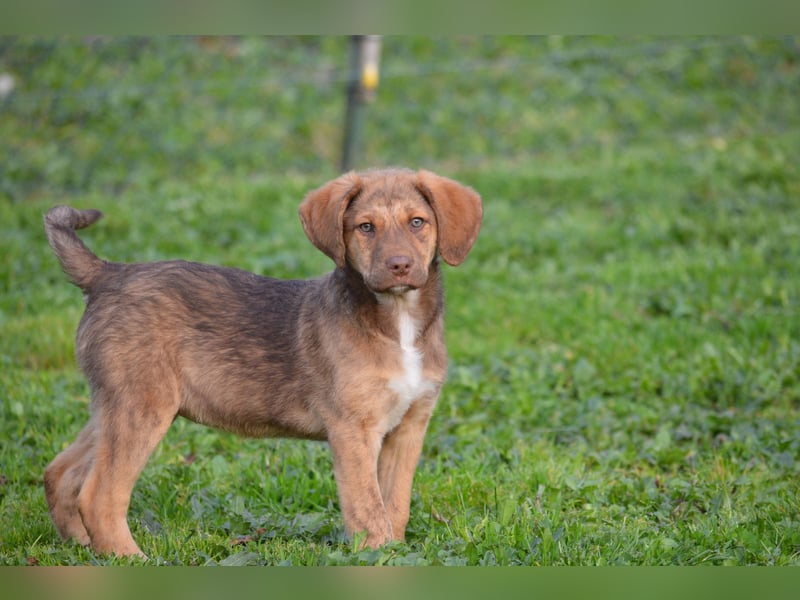 ELISA - so eine süße Zuckerschnute