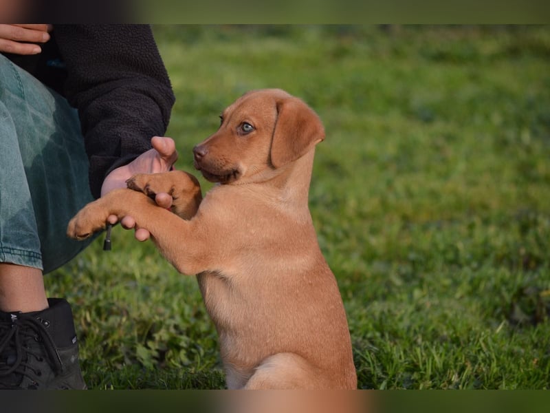 ELIAS - so eine süße Zuckerschnute