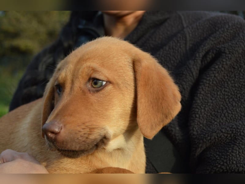 ELIAS - so eine süße Zuckerschnute