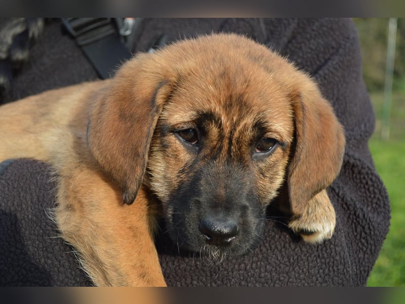 EMMA - so eine süße Zuckerschnute