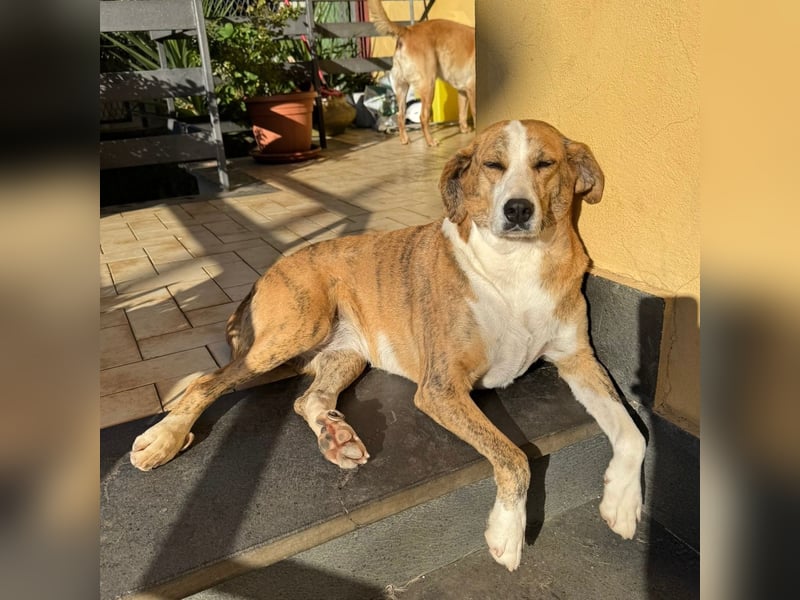 Lea - liebenswürdiges Mädchen sucht sicheren Hafen