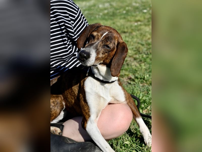 Mia - aussortiert - und niemand hat ihr je erklärt, warum