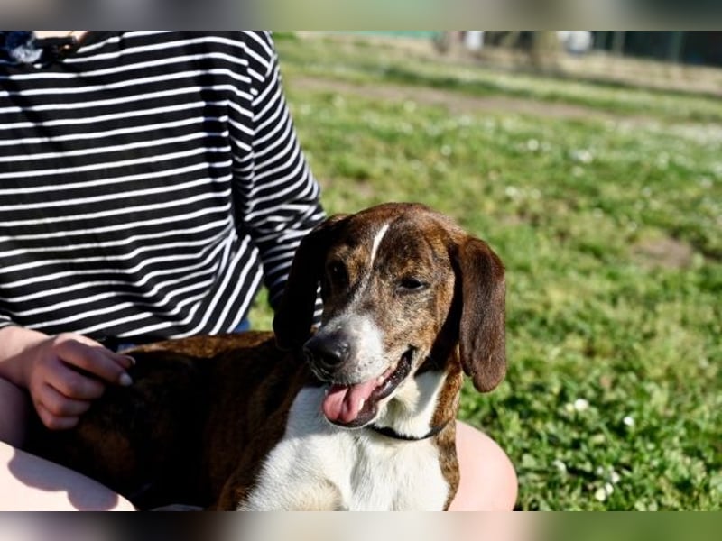 Mia - aussortiert - und niemand hat ihr je erklärt, warum