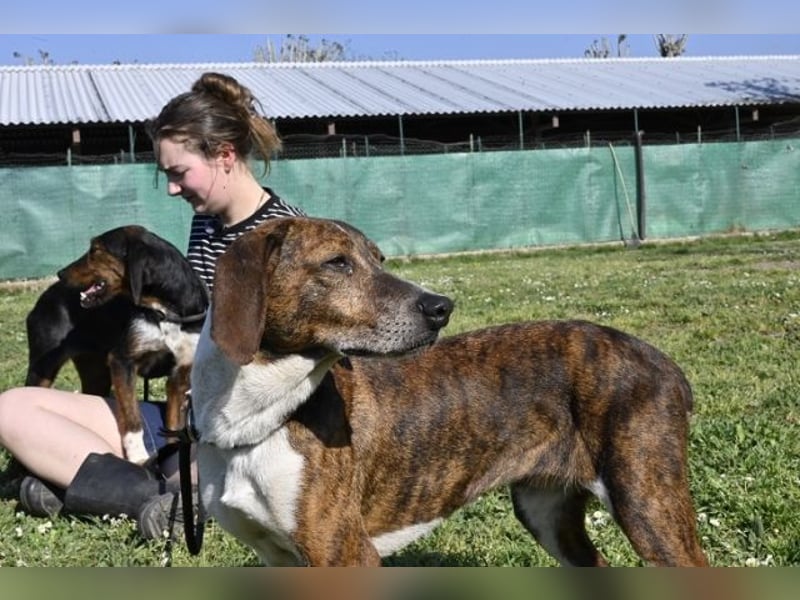 Mia - aussortiert - und niemand hat ihr je erklärt, warum