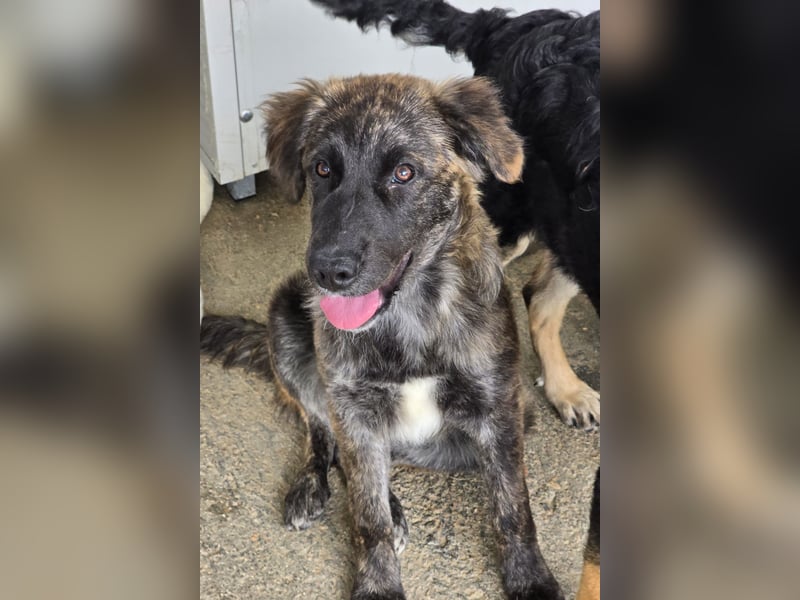 Melody: freut sich aufs Leben in Freiheit