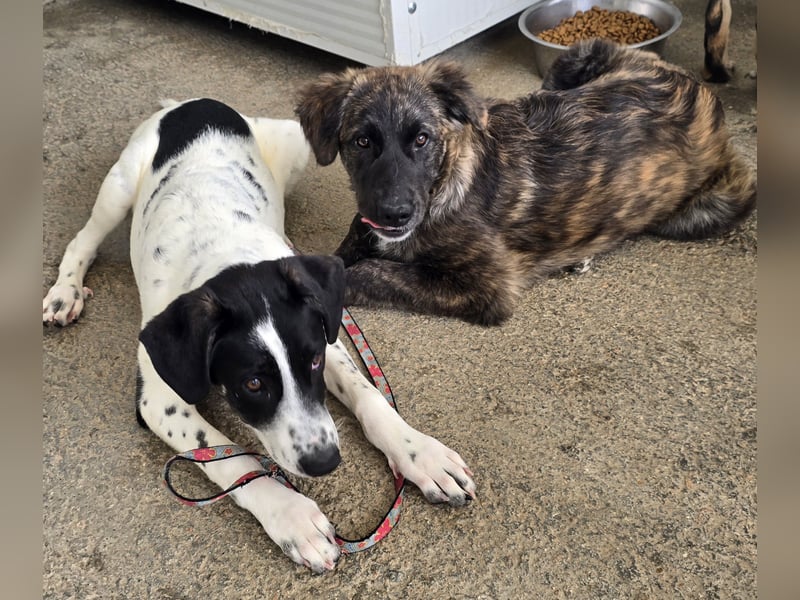 Melody: freut sich aufs Leben in Freiheit