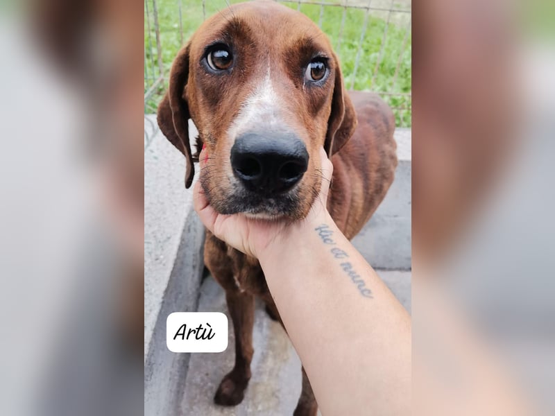 Artù – auf der Suche nach einem familiären Bildungsweg