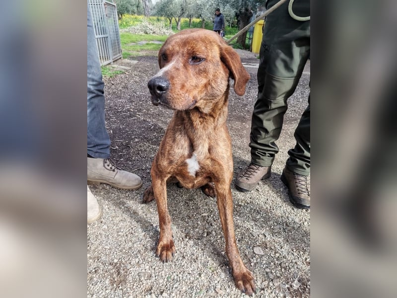 Artù – auf der Suche nach einem familiären Bildungsweg