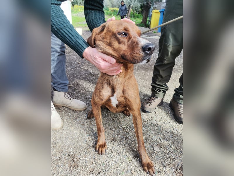 Artù – auf der Suche nach einem familiären Bildungsweg