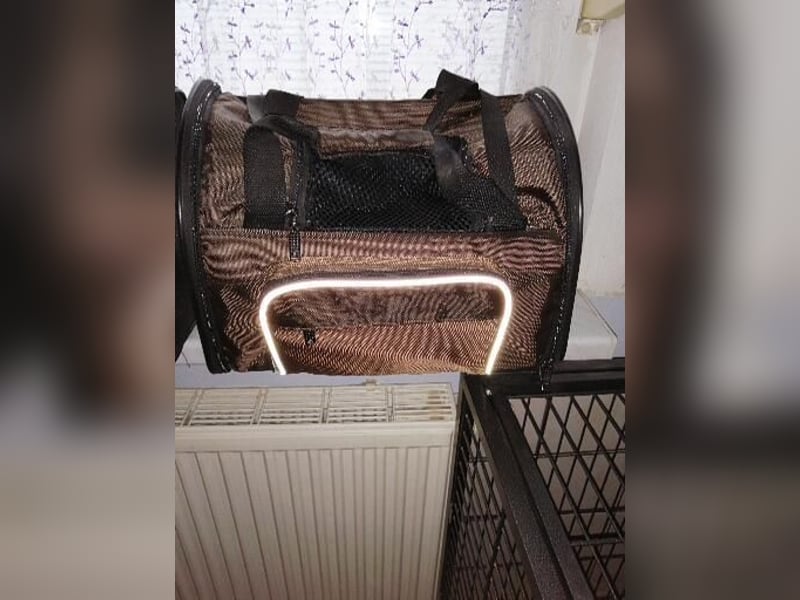 2 Hunderucksäcke zuverkaufen.