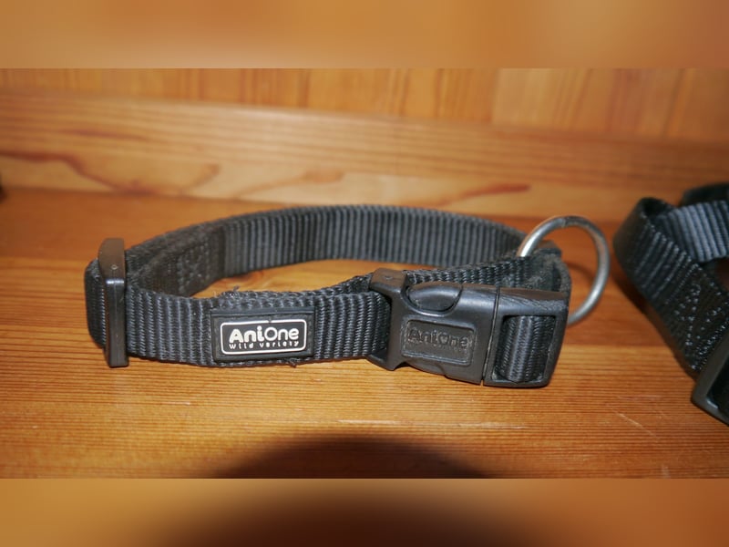 4tlg AniOne Hundegeschirr Gr. M/S One Touch + Halsband + Hundeleine – K