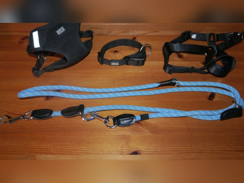 4tlg AniOne Hundegeschirr Gr. M/S One Touch + Halsband + Hundeleine – K
