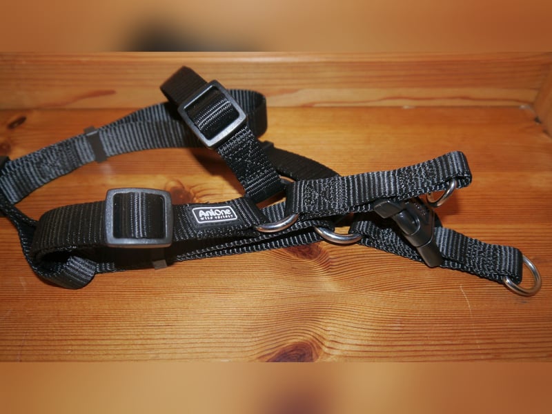4tlg AniOne Hundegeschirr Gr. M/S One Touch + Halsband + Hundeleine – K