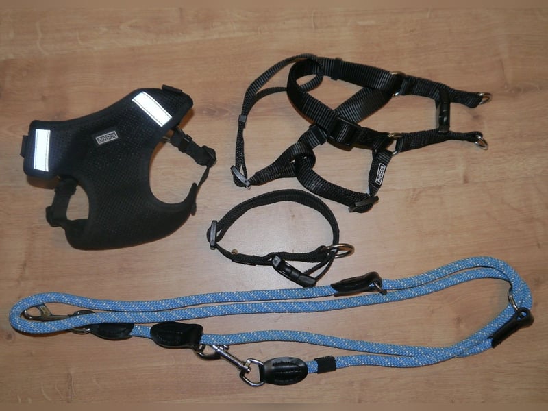 4tlg AniOne Hundegeschirr Gr. M/S One Touch + Halsband + Hundeleine – K