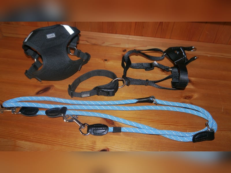4tlg AniOne Hundegeschirr Gr. M/S One Touch + Halsband + Hundeleine – K