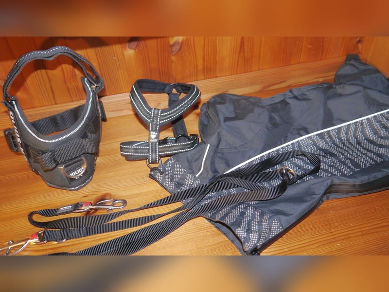 4tlg Hundegeschirr Julius K9 Gr. S Mini + Doppelleine + Regenmantel Hurtta - A