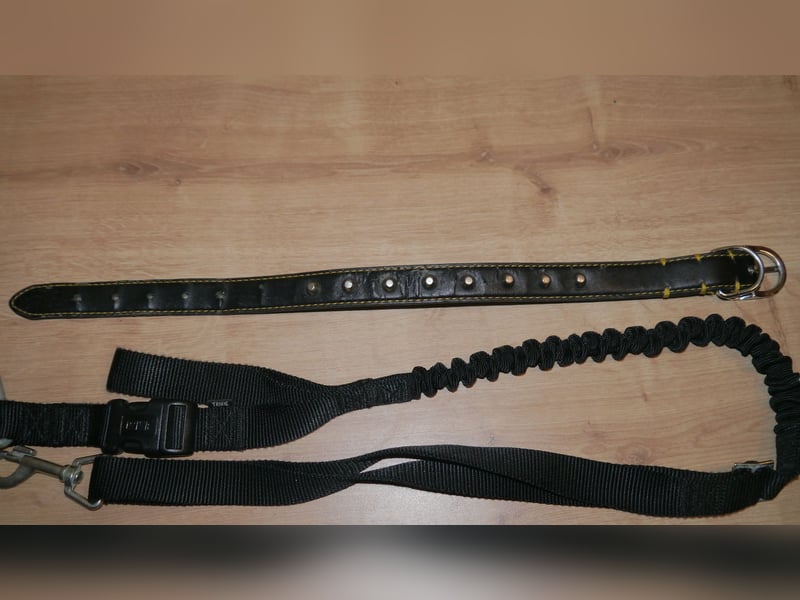 4tlg Hundemantel XL Trixie Joggingleine mit Bauchgurt Halsband - E