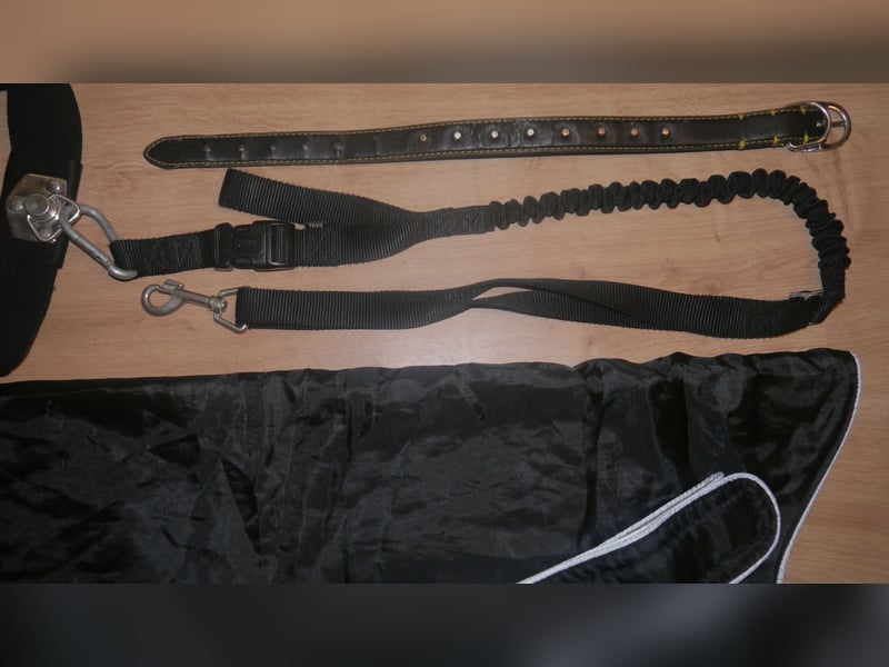 4tlg Hundemantel XL Trixie Joggingleine mit Bauchgurt Halsband - E