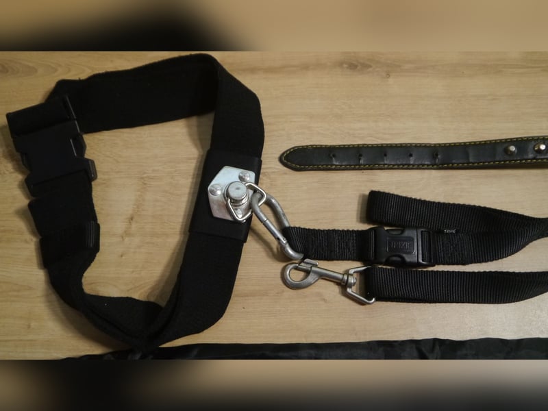4tlg Hundemantel XL Trixie Joggingleine mit Bauchgurt Halsband - E