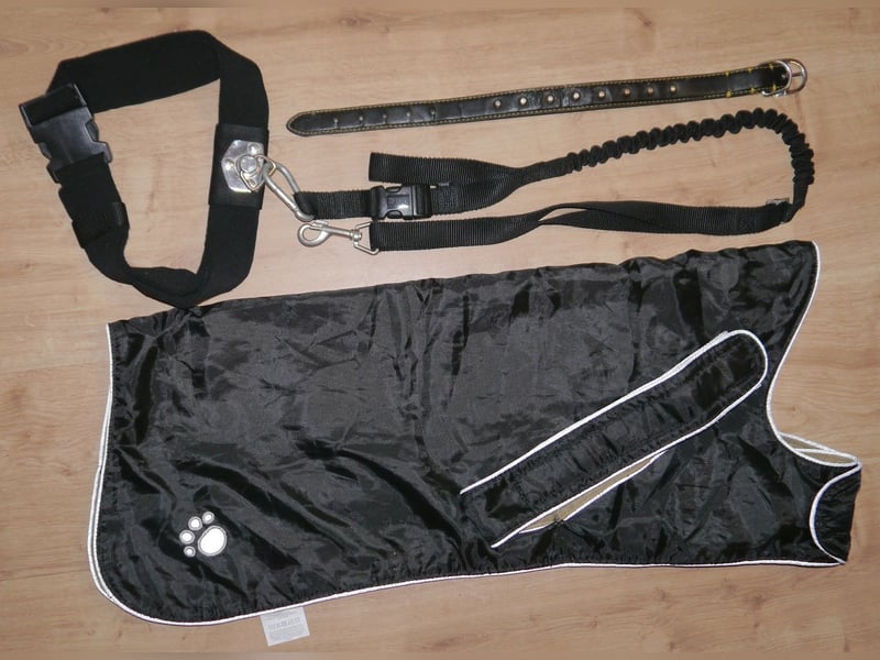 4tlg Hundemantel XL Trixie Joggingleine mit Bauchgurt Halsband - E