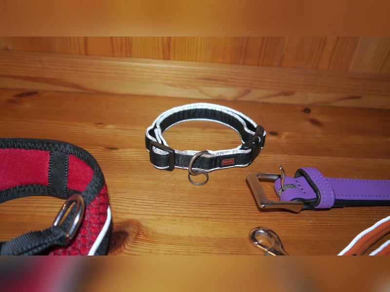 4tlg Hunter Hundegeschirr Hilo Comfort NEU Hundehalsband Softie Hundeleine Oakland - O