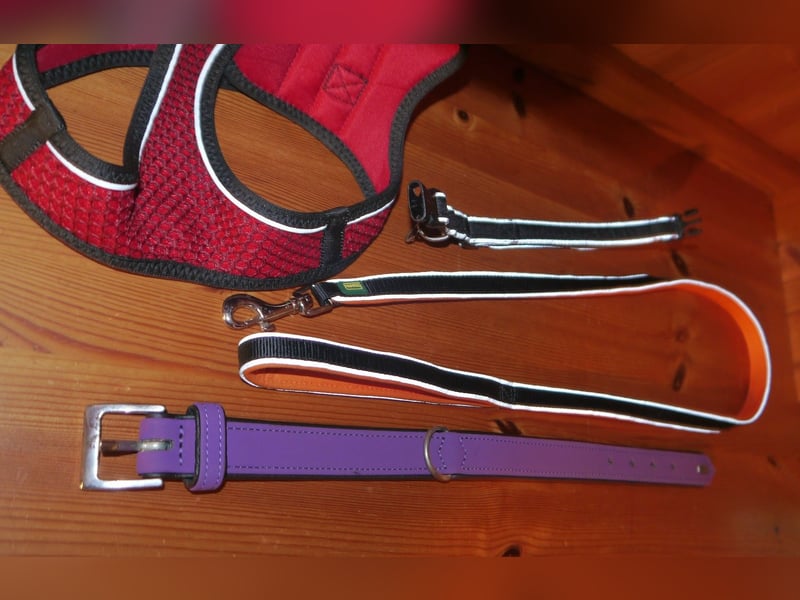 4tlg Hunter Hundegeschirr Hilo Comfort NEU Hundehalsband Softie Hundeleine Oakland - O