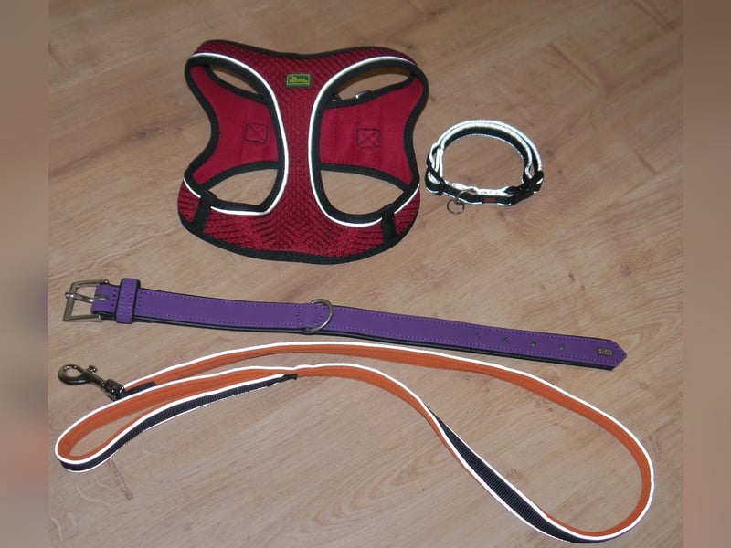 4tlg Hunter Hundegeschirr Hilo Comfort NEU Hundehalsband Softie Hundeleine Oakland - O