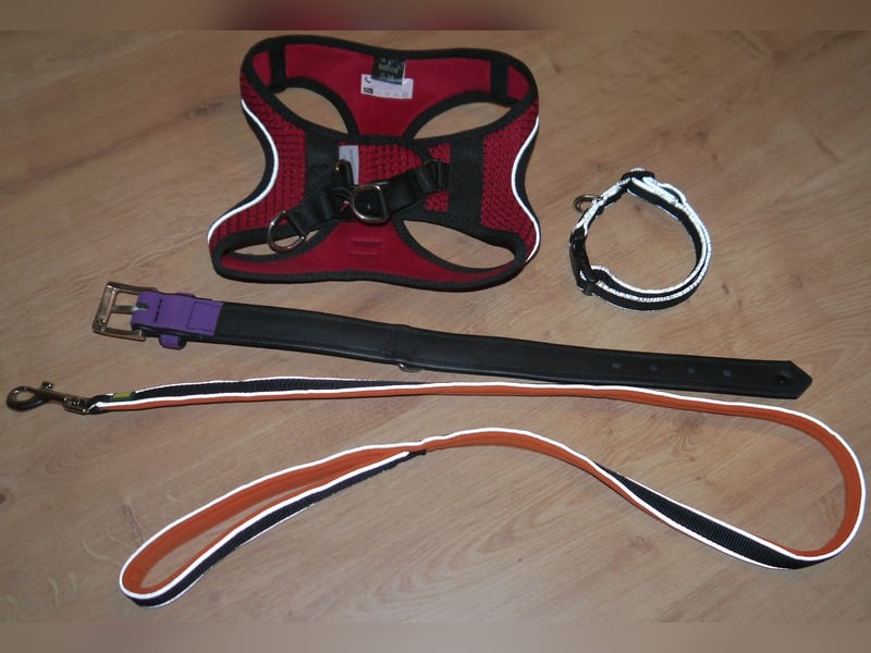 4tlg Hunter Hundegeschirr Hilo Comfort NEU Hundehalsband Softie Hundeleine Oakland - O