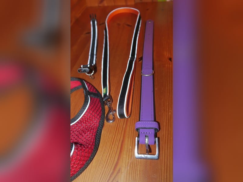 4tlg Hunter Hundegeschirr Hilo Comfort NEU Hundehalsband Softie Hundeleine Oakland - O