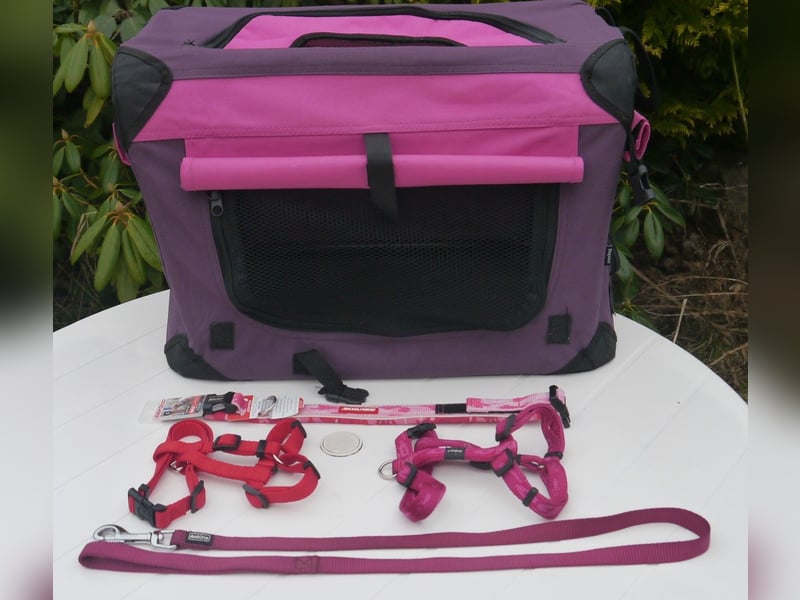5tlg Hunde/Katze Transportfaltbox + Hundegeschirr Hunter + Leine + EzyDoc Hundehalsband – F