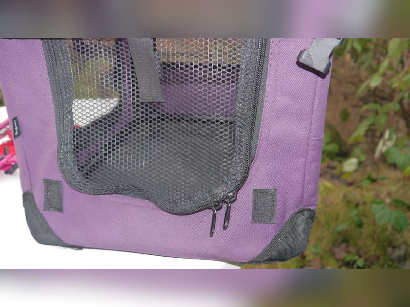 5tlg Hunde/Katze Transportfaltbox + Hundegeschirr Hunter + Leine + EzyDoc Hundehalsband – F