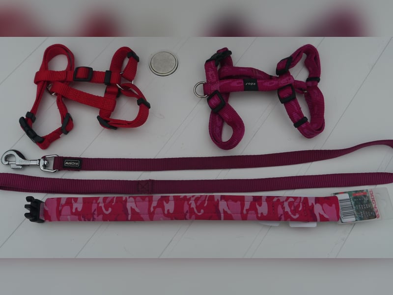 5tlg Hunde/Katze Transportfaltbox + Hundegeschirr Hunter + Leine + EzyDoc Hundehalsband – F