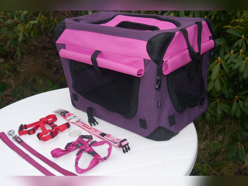 5tlg Hunde/Katze Transportfaltbox + Hundegeschirr Hunter + Leine + EzyDoc Hundehalsband – F