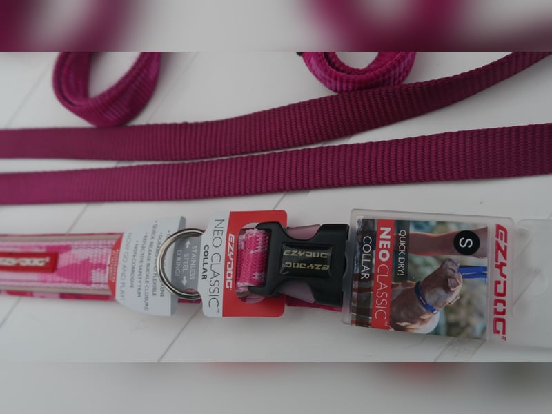 5tlg Hunde/Katze Transportfaltbox + Hundegeschirr Hunter + Leine + EzyDoc Hundehalsband – F
