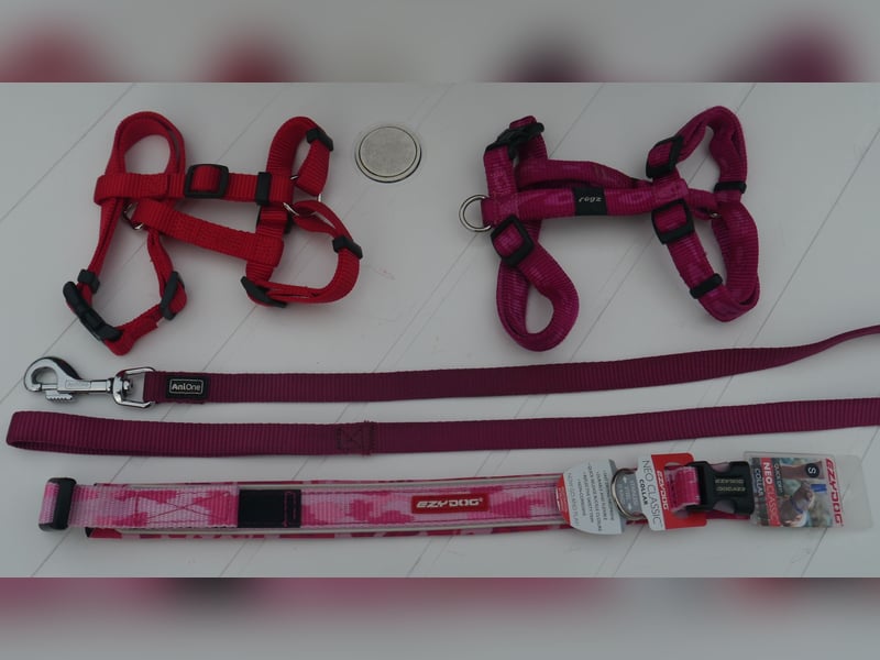 5tlg Hunde/Katze Transportfaltbox + Hundegeschirr Hunter + Leine + EzyDoc Hundehalsband – F