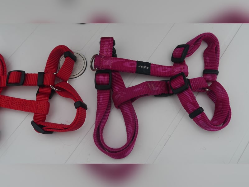 5tlg Hunde/Katze Transportfaltbox + Hundegeschirr Hunter + Leine + EzyDoc Hundehalsband – F