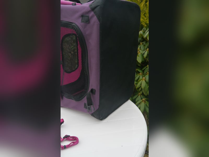 5tlg Hunde/Katze Transportfaltbox + Hundegeschirr Hunter + Leine + EzyDoc Hundehalsband – F