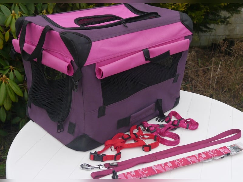 5tlg Hunde/Katze Transportfaltbox + Hundegeschirr Hunter + Leine + EzyDoc Hundehalsband – F